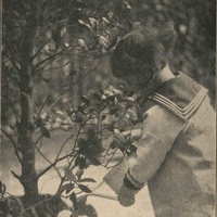 Piante in vaso [anni Venti] - L. Roubiczek, <em>Generalità sugli esercizi di vita pratica</em>, in "L'Idea Montessori", a.II, n.3, novembre 1928, p14.$$$299